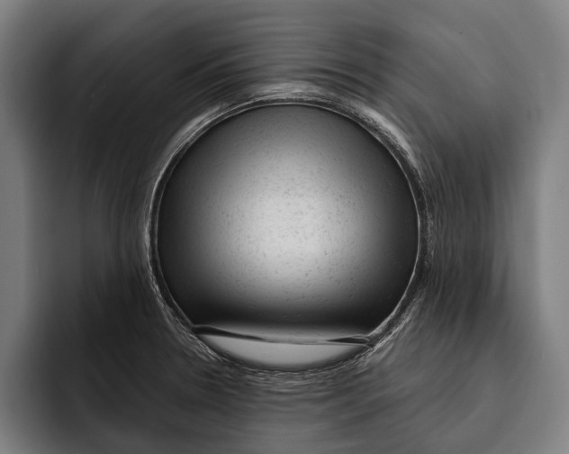 X0000092301330200710121440