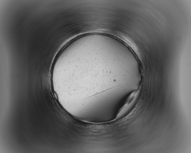 X0000092301332200710121440