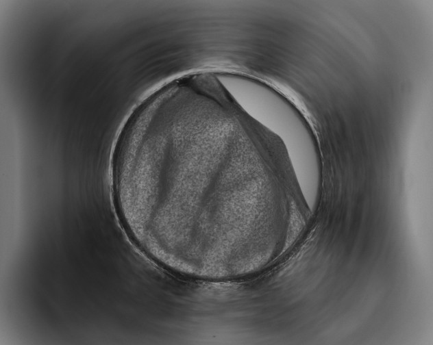 X0000092301335200710121440