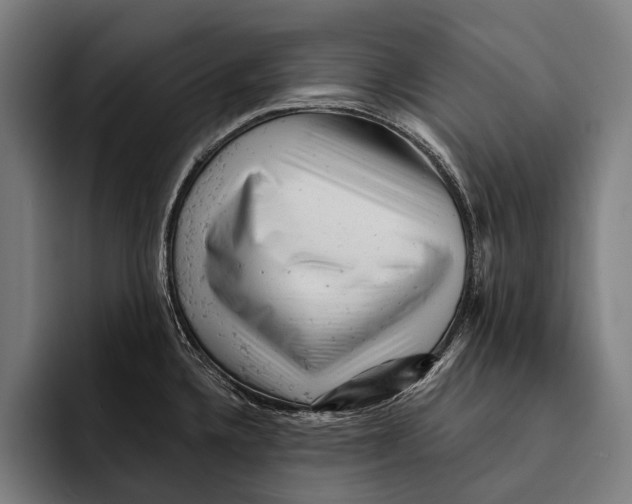 X0000092301336200710121440