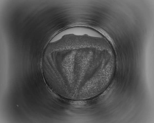 X0000092301337200710121440