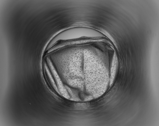 X0000092301339200710121440