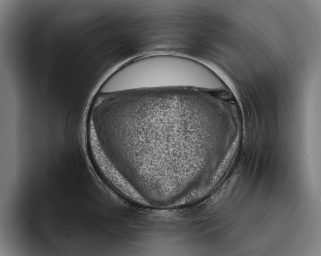 X0000092301341200710121440