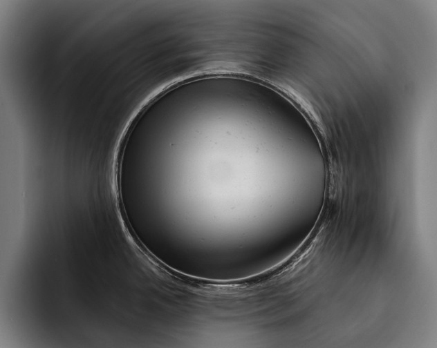 X0000092301342200710121440