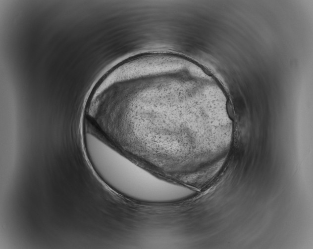 X0000092301343200710121440