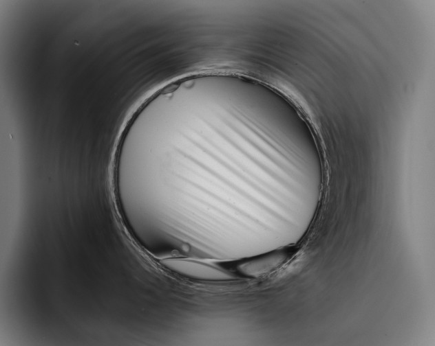 X0000092301344200710121440