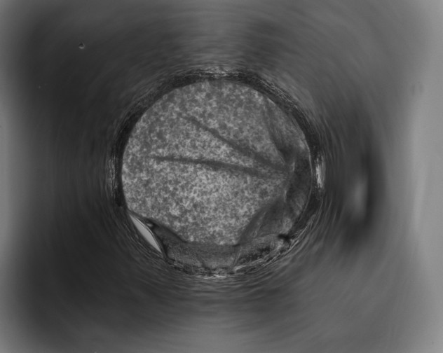 X0000092301347200710121439