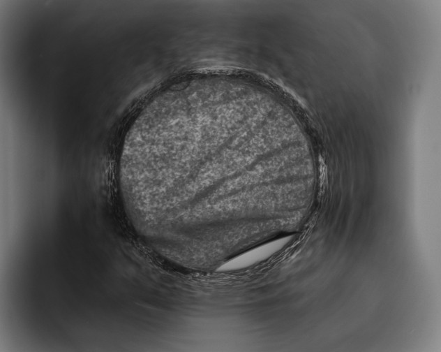 X0000092301351200710121439