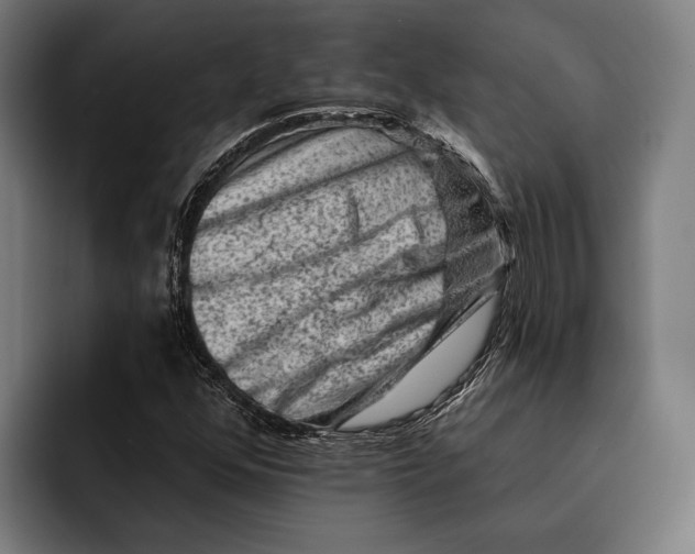 X0000092301352200710121439