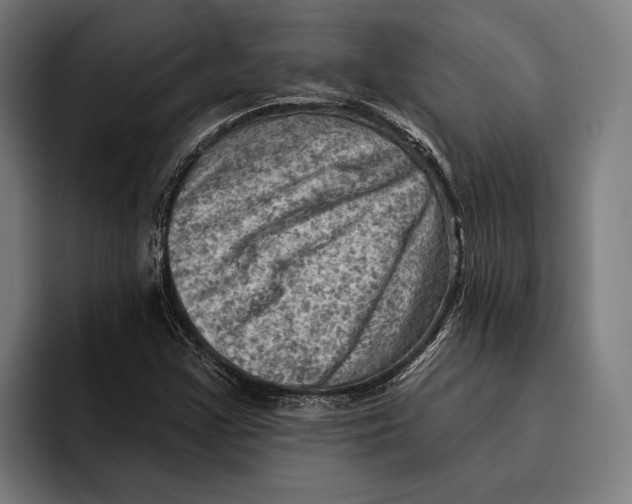 X0000092301355200710121439