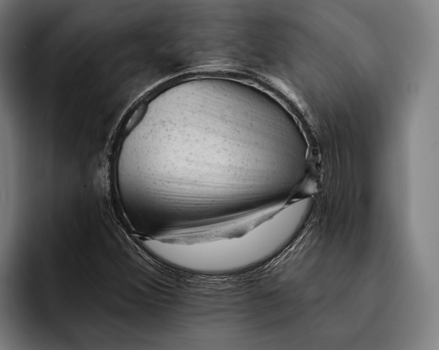 X0000092301356200710121439