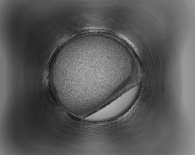 X0000092301357200710121439