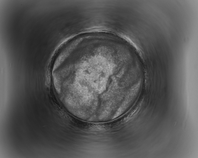 X0000092301358200710121439