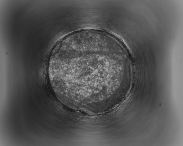 X0000092301359200710121439