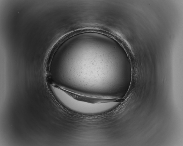 X0000092301360200710121439