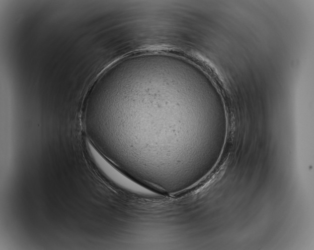 X0000092301361200710121439