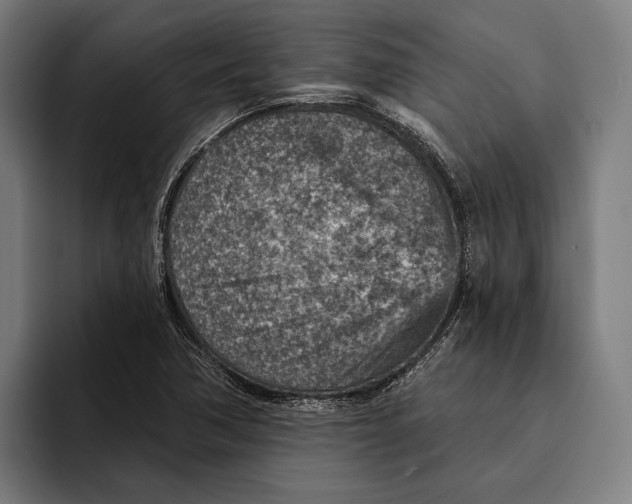 X0000092301362200710121439