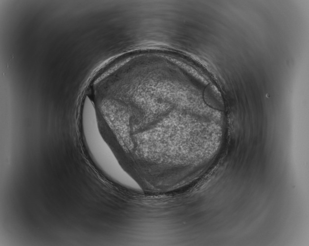 X0000092301363200710121439