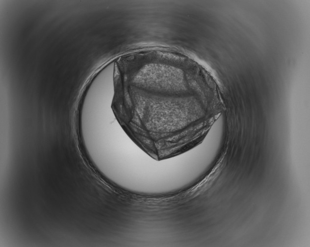 X0000092301365200710121439