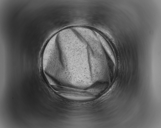 X0000092301366200710121439