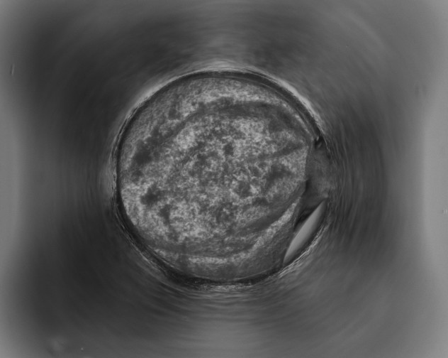 X0000092301367200710121439