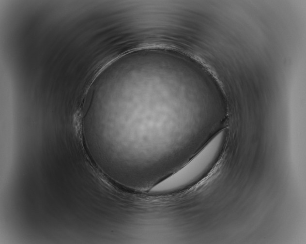 X0000092301369200710121439