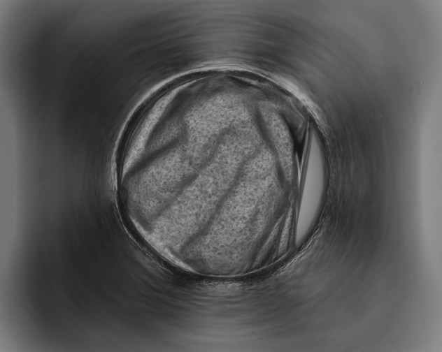 X0000092301372200710121439