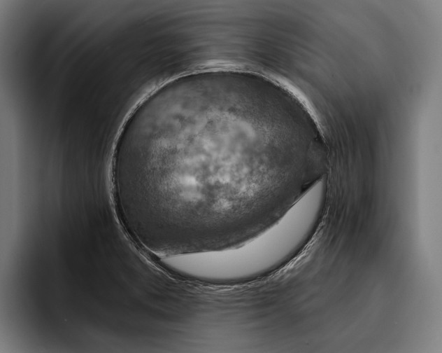 X0000092301373200710121439