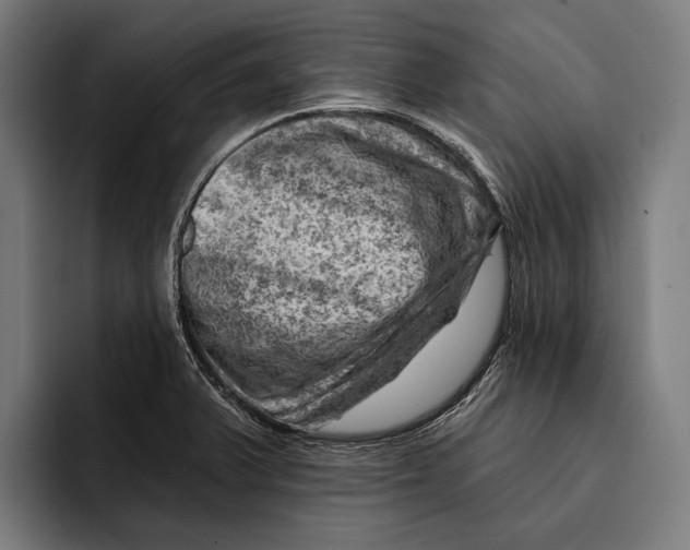 X0000092301375200710121439