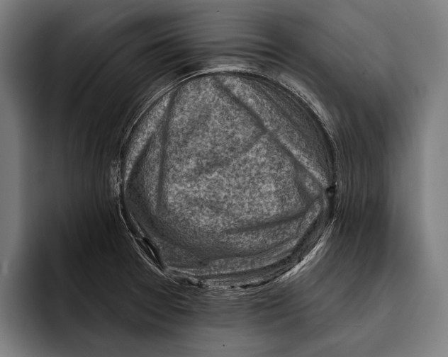 X0000092301377200710121439