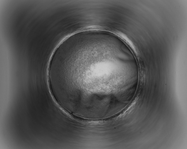 X0000092301381200710121439