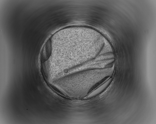 X0000092301382200710121439