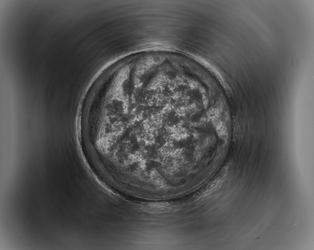 X0000092301383200710121439