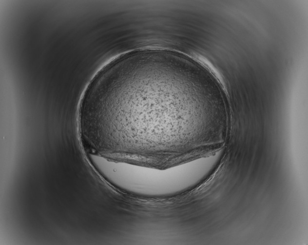 X0000092301384200710121439