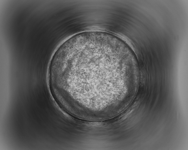 X0000092301387200710121439