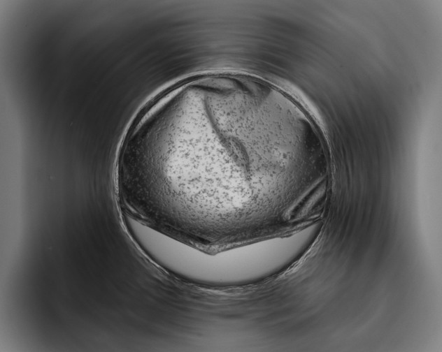 X0000092301388200710121439