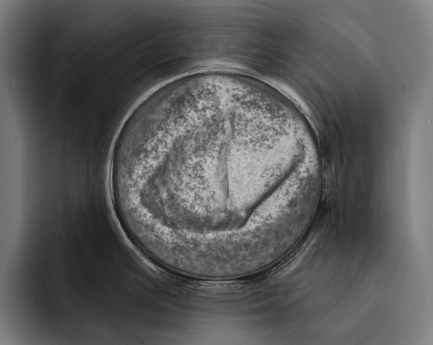 X0000092301391200710121439