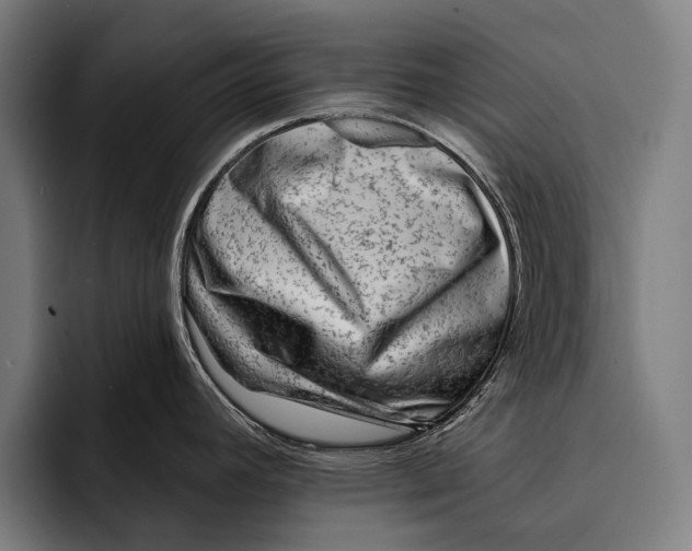 X0000092301392200710121439