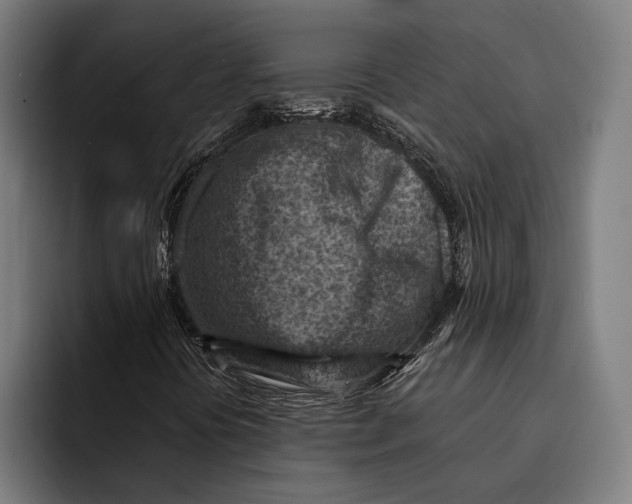 X0000092301394200710121438