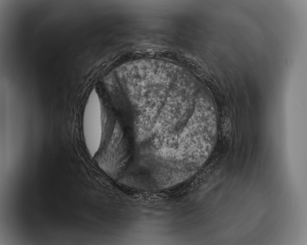 X0000092301397200710121438