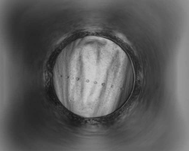 X0000092301398200710121438