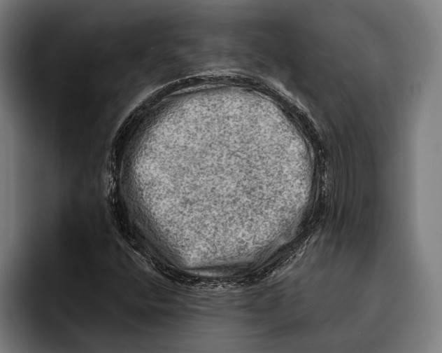 X0000092301400200710121438