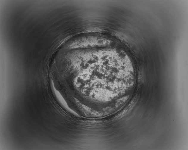 X0000092301401200710121438