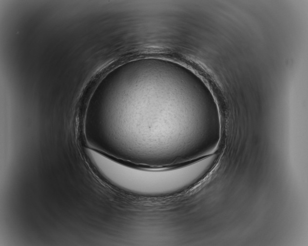 X0000092301402200710121438