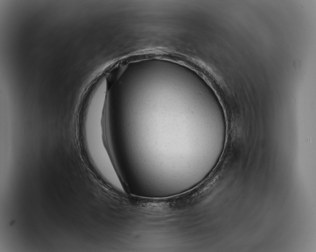 X0000092301406200710121438