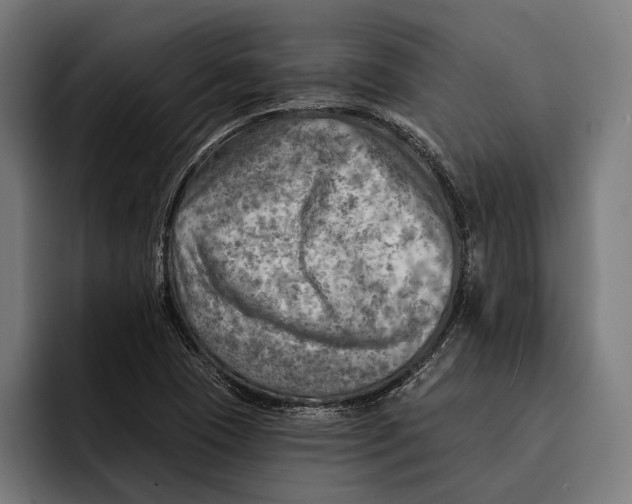 X0000092301409200710121438