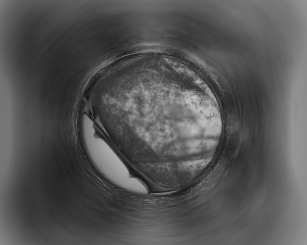 X0000092301411200710121438