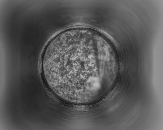 X0000092301413200710121438