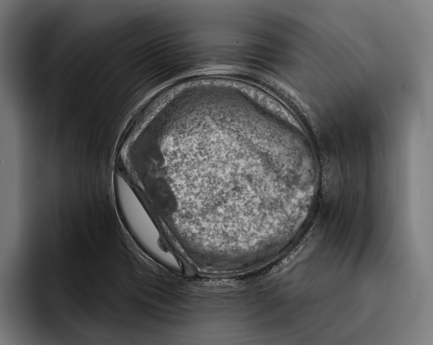 X0000092301417200710121438