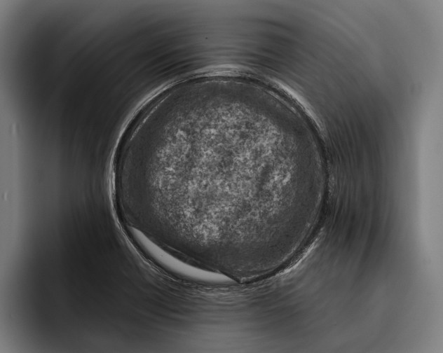 X0000092301418200710121438